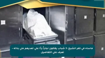 مأساة في كفر الشيخ: 3 شباب يقتلون نجاراً ردًا على تعديهم على بناته – تعرف على التفاصيل
